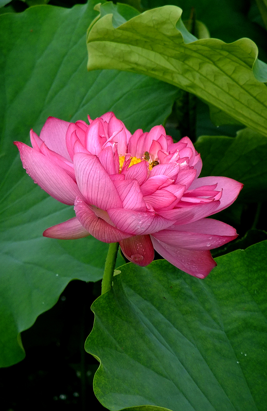 DSCF6395.JPG