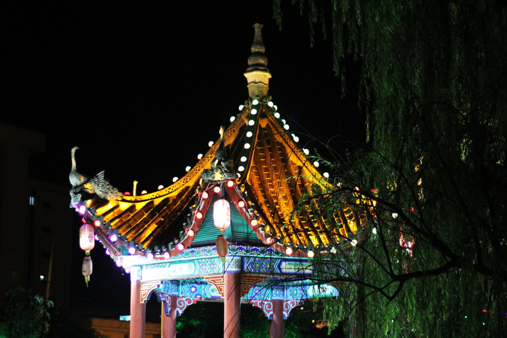 DPP_11070820.JPG