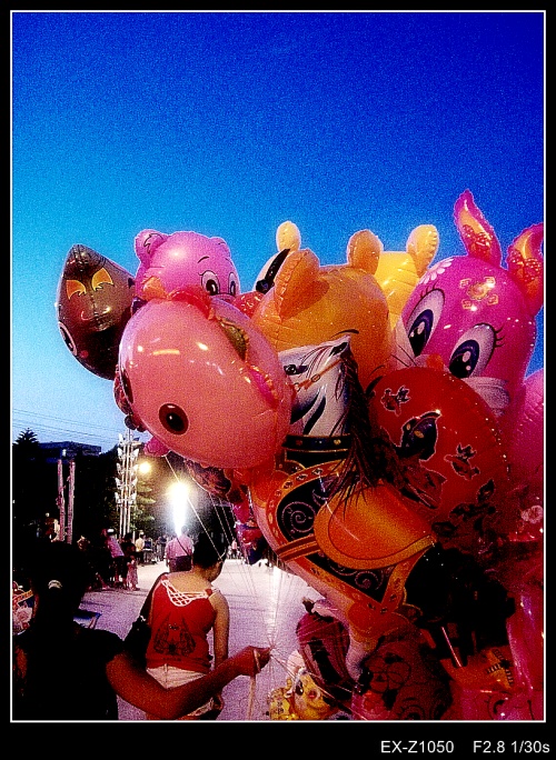 CIMG0943_conew1.jpg