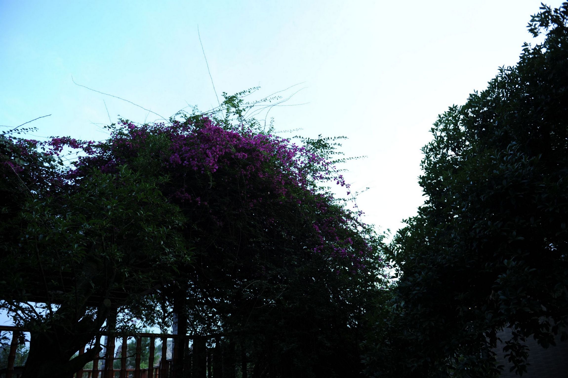 DSC_0074.JPG