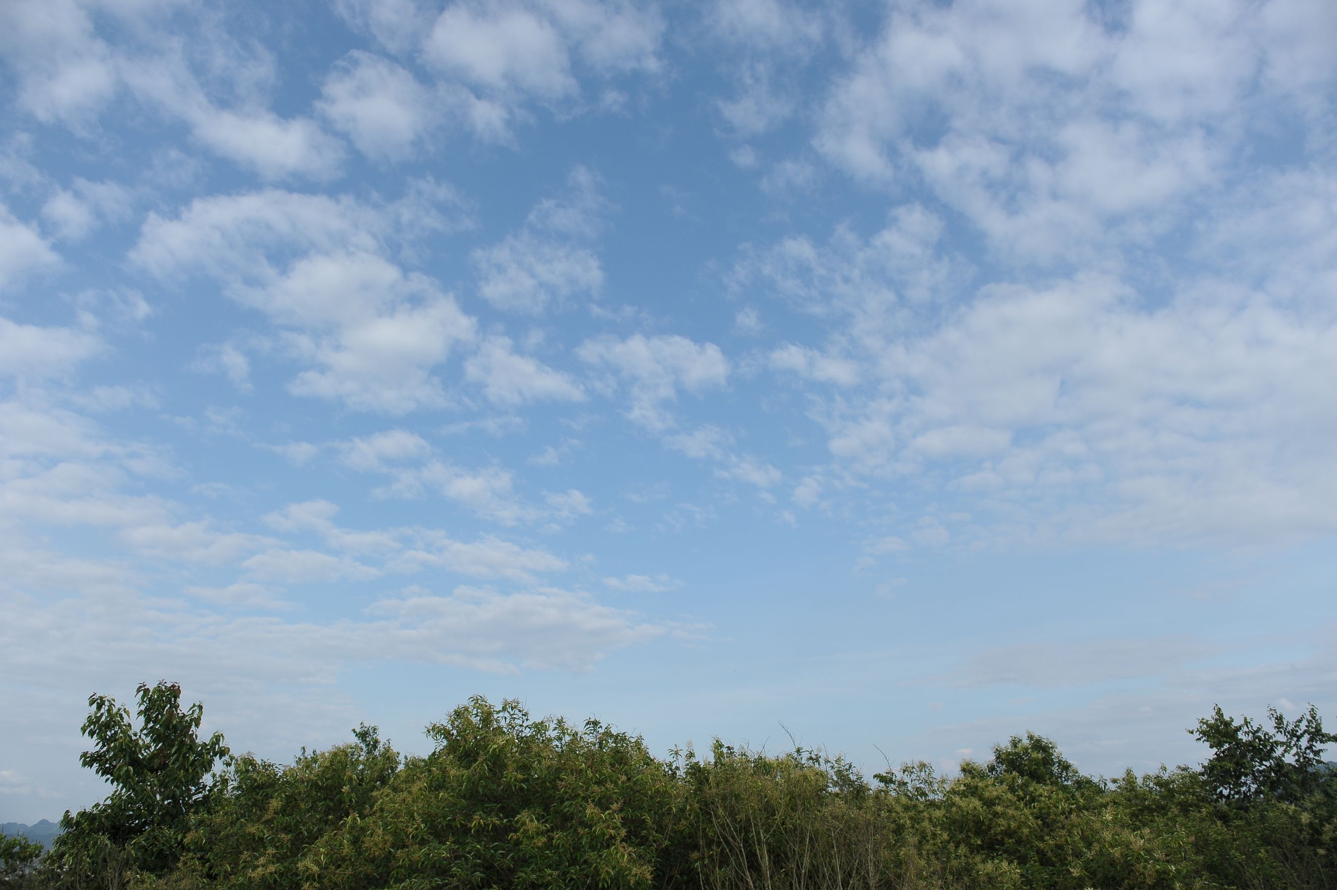DSC_0304.JPG