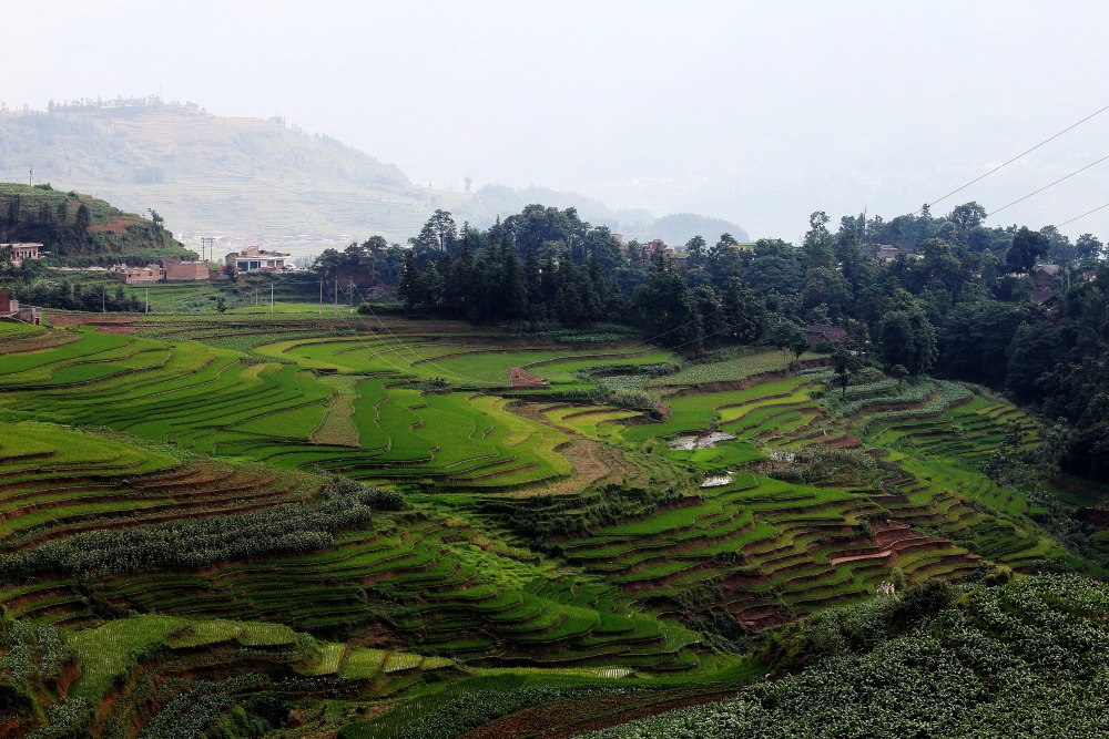 DPP_11071014.JPG