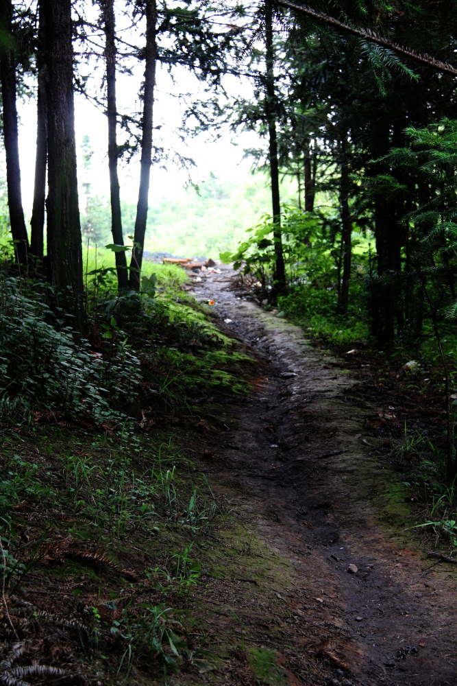 DPP_11071015.JPG
