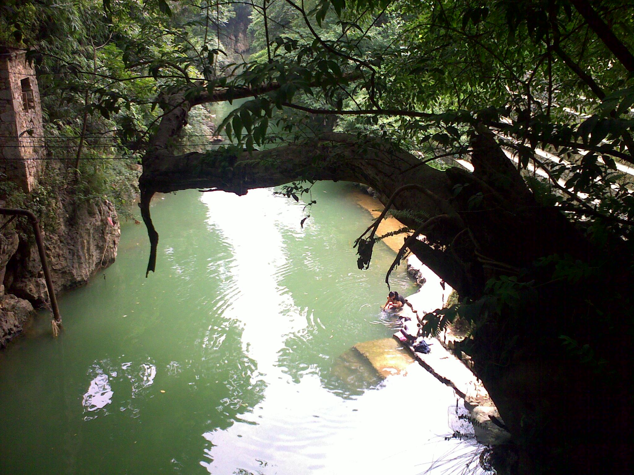 20110710418.jpg