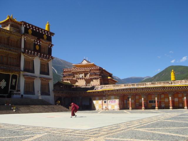 DSC02612.jpg