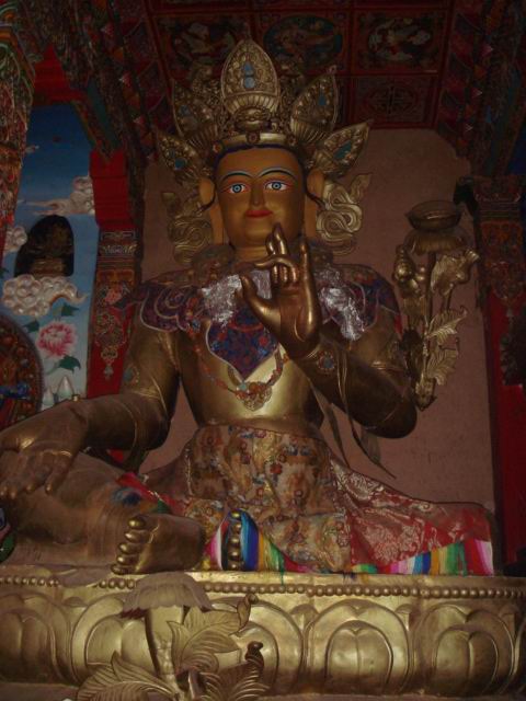 DSC02624.jpg