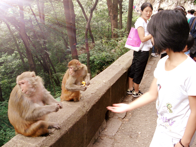 DSC00471_.jpg