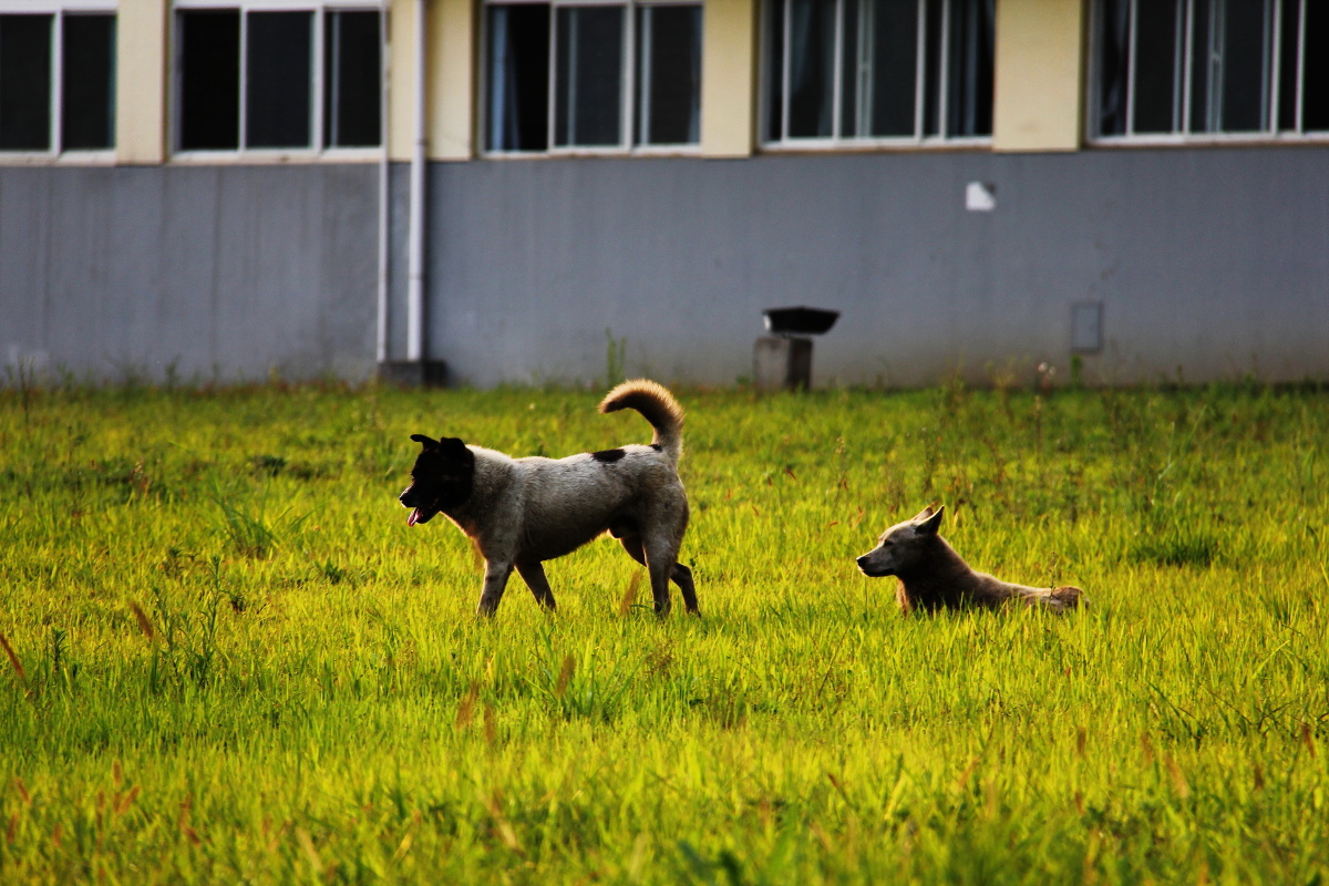 DPP_11071909.JPG