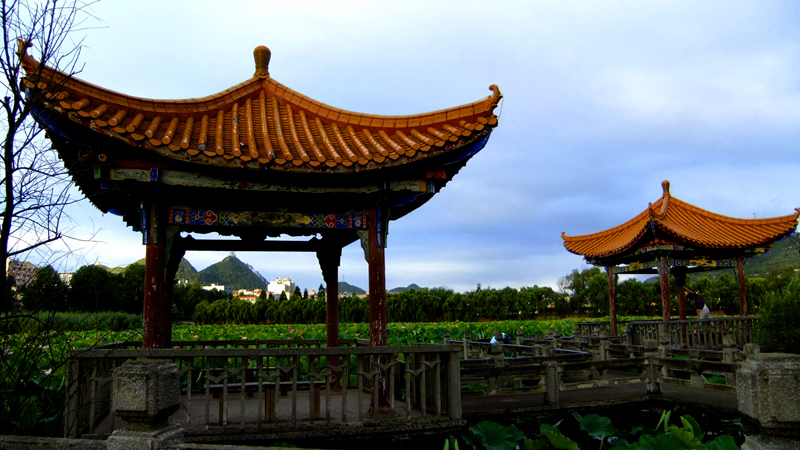 DSCF6336.JPG