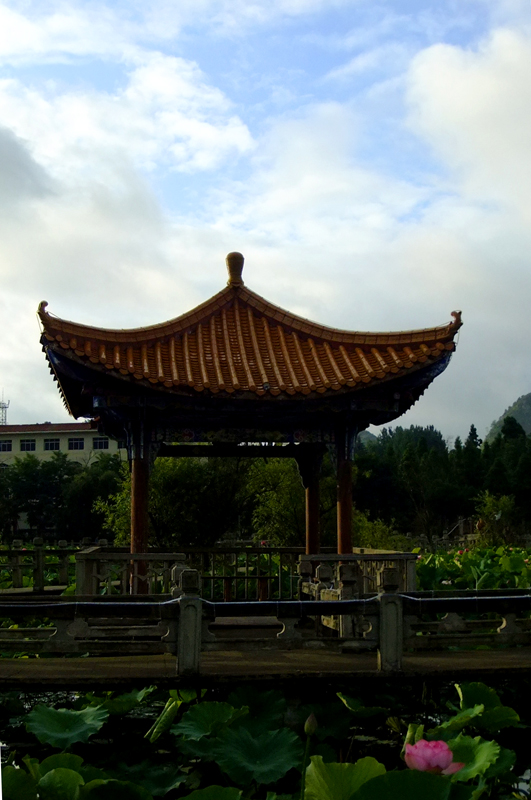 DSCF6419.JPG