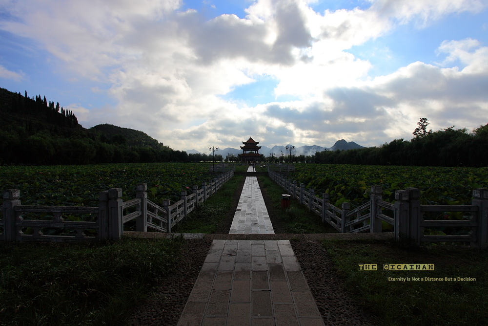 DPP_1058.JPG