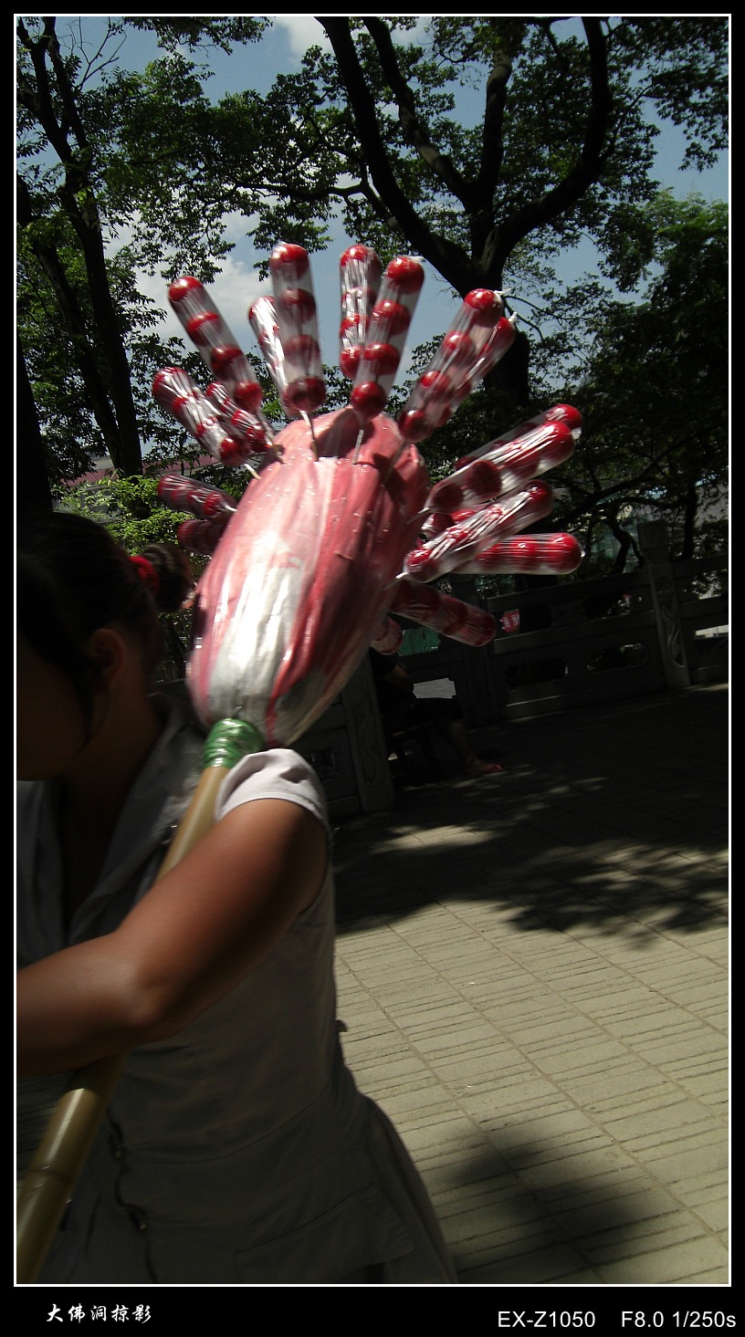 CIMG2103_conew2.jpg
