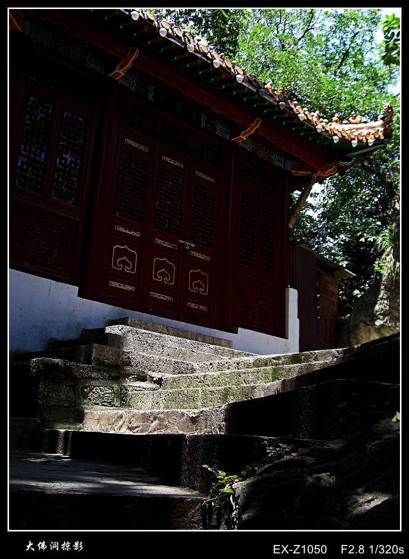 CIMG2111_conew1.jpg