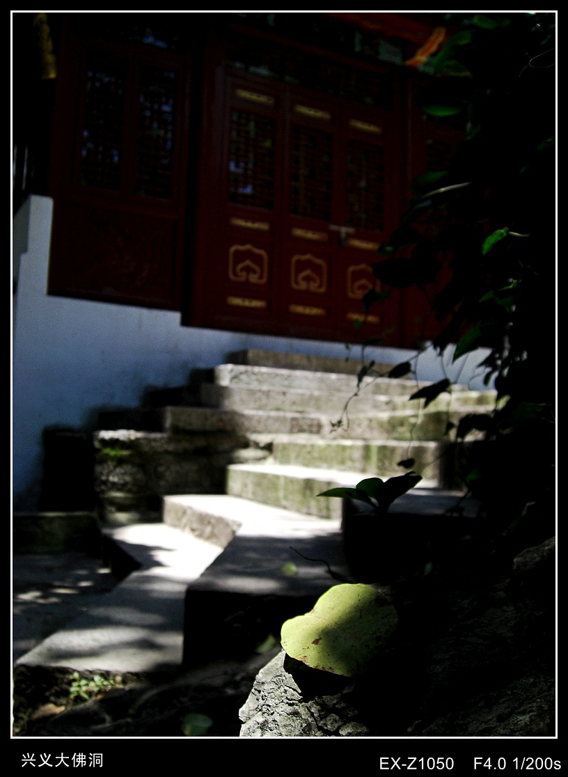 CIMG2113_conew1.jpg