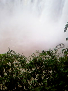 SP_A2619.jpg