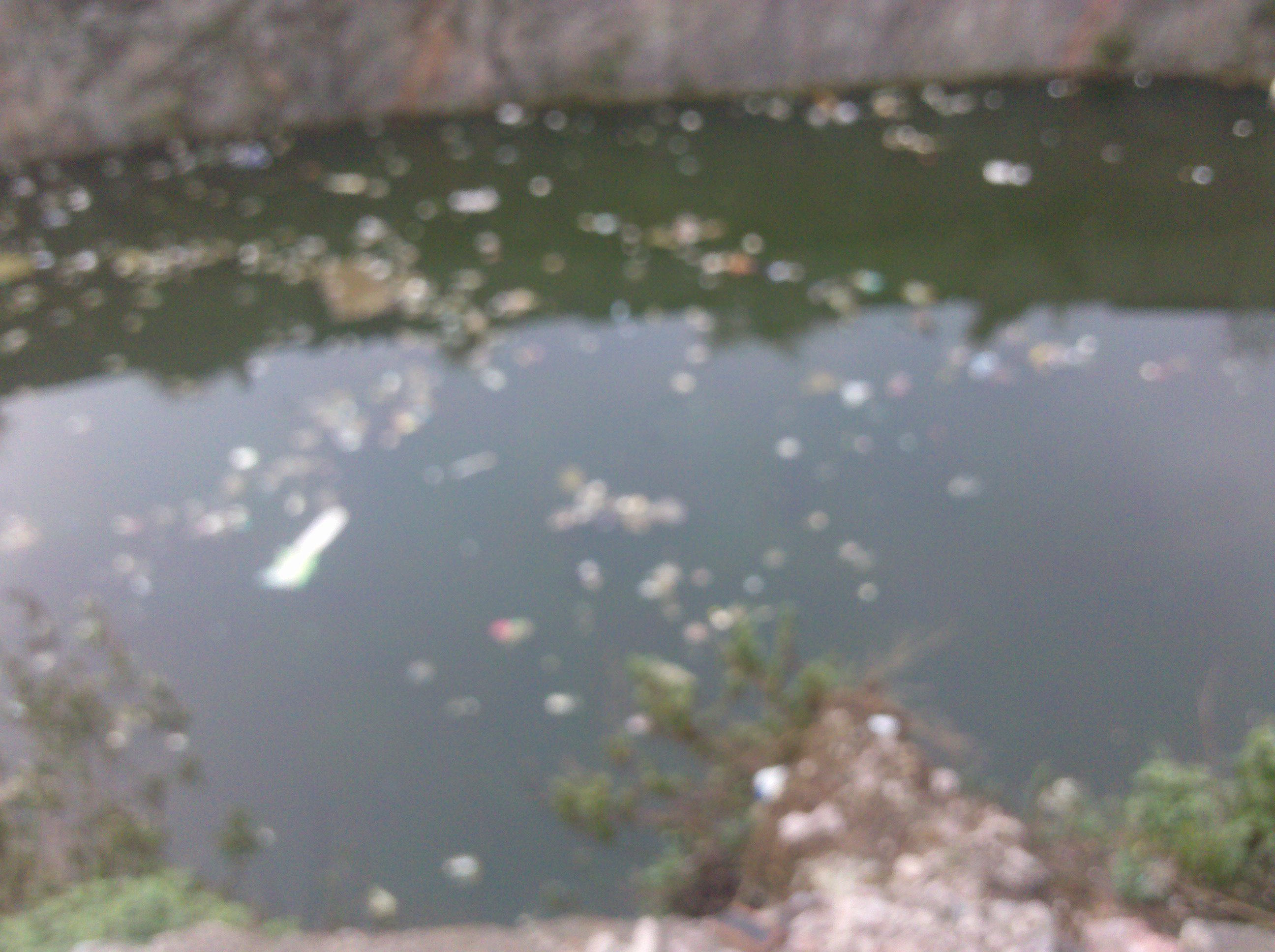 2011-08-04_16-27-05_628.jpg