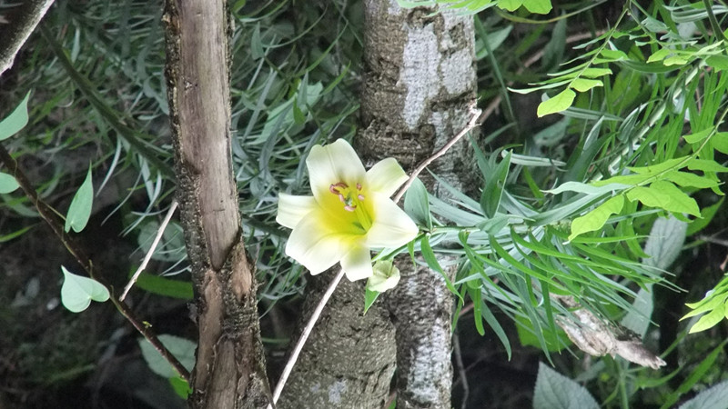 dscf6930_.jpg