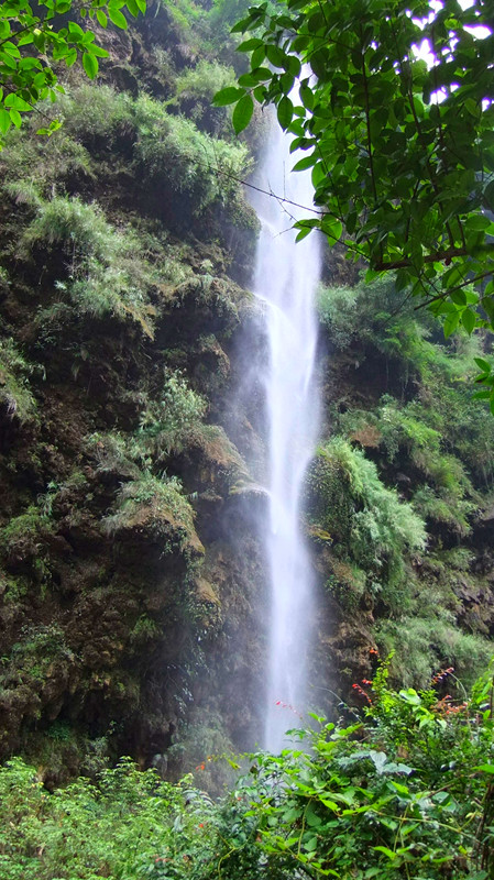 dscf6896_.jpg