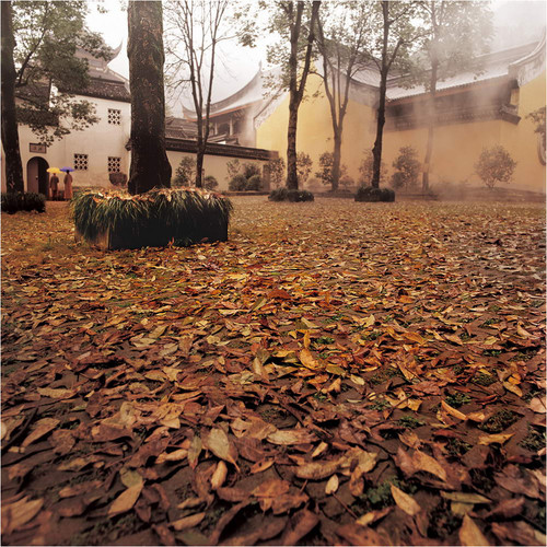 1055.jpg