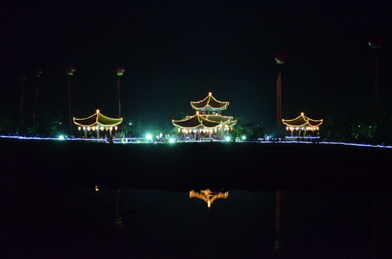 DSC_0368_.jpg