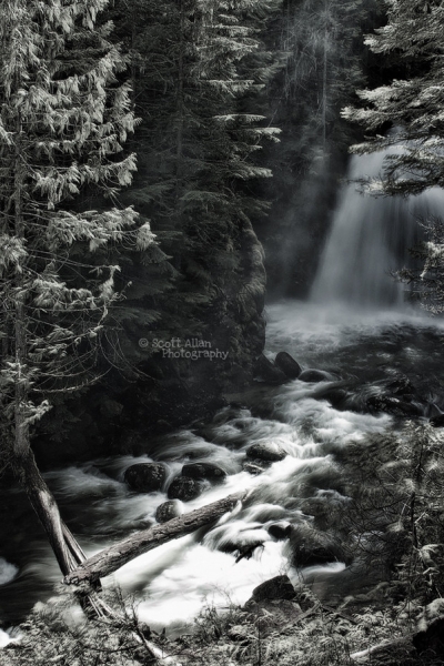 20110811_932764282f0d9033515bmmIGJZXh6sJi.jpg