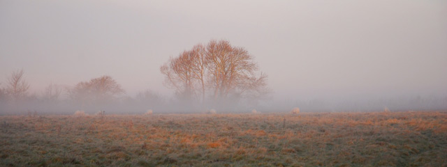 20110819_3f708c13cf1c66d6ccbcIWXvgExLUDGB.jpg