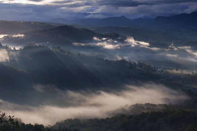 20110819_4f621d2a737ee71505139bwAsSi5MXfL.jpg