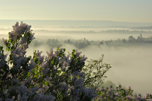 20110819_e0344508eb20cfeca3b7va8BLUToqITz.jpg