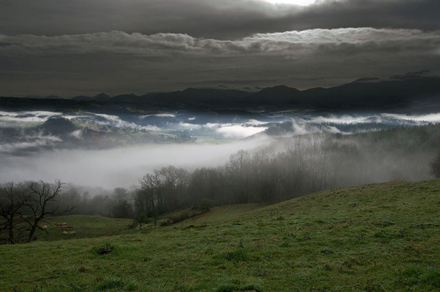 20110819_e331926658c00eeea121Ivz4Zm3n8F0t.jpg