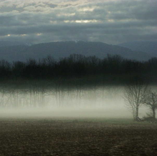 20110820_3042ae1d4adc1d5665d2iC1WAWHPfZfV.jpg