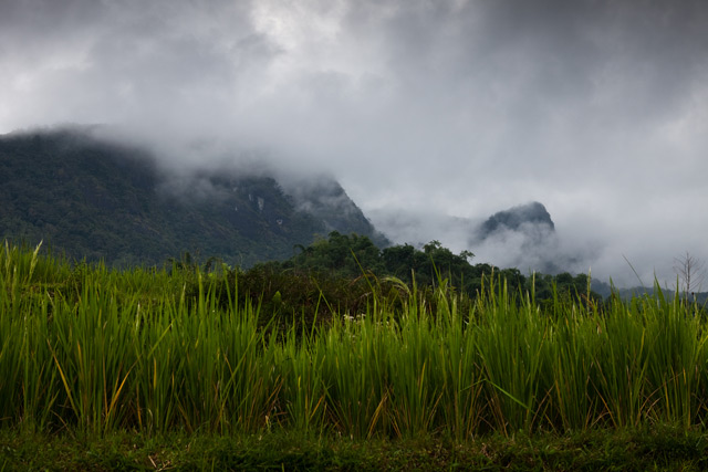 20110820_3860a0fb977e4c0f4255McQEXdZvtDoy.jpg