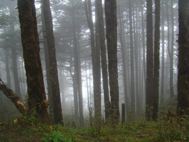 20110820_a4c8dc4271b7f16057b3DWqk4F67j2FD.jpg