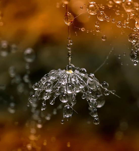 20110819_6ab13af893a119b3d26ebteGZ6d55u8d.jpg