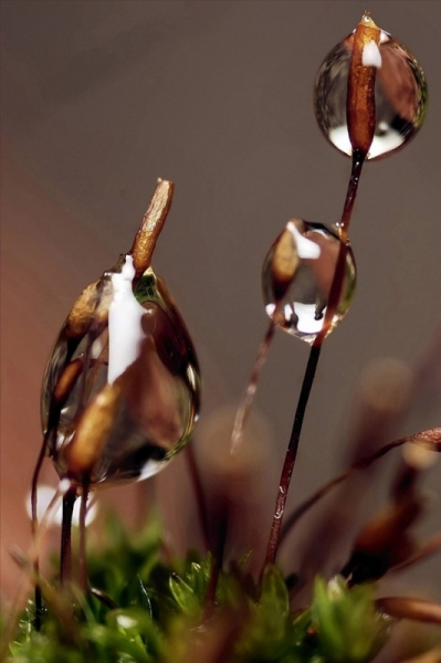 20110819_06e631a545c5edb9db00LDEjjCsjY8mi.jpg