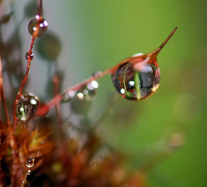 20110819_7fdc9e9aee8310d90b65EoPl3IKjZRBs.jpg