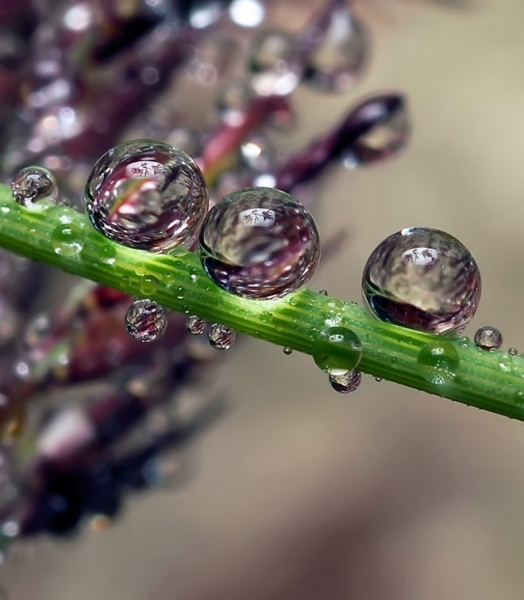 20110819_17f3b5bf45e7335ffc90XoZOXzxQsswM.jpg
