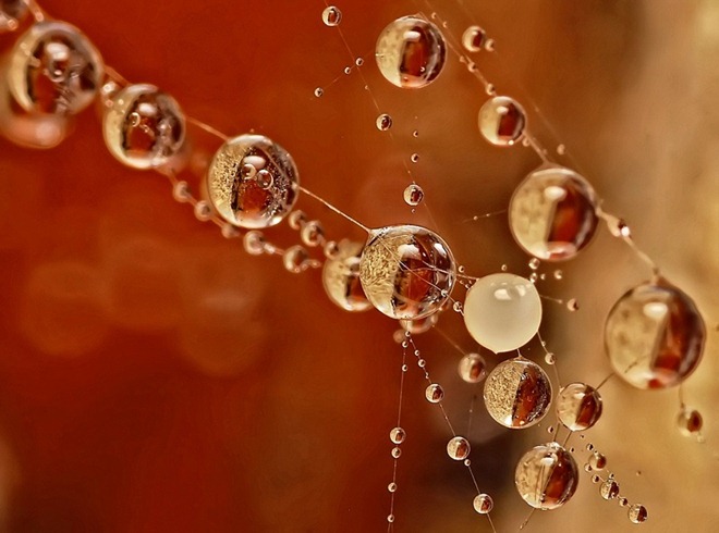 20110819_19b670fc85924da2217cmN9vXWwXgJ7Y.jpg