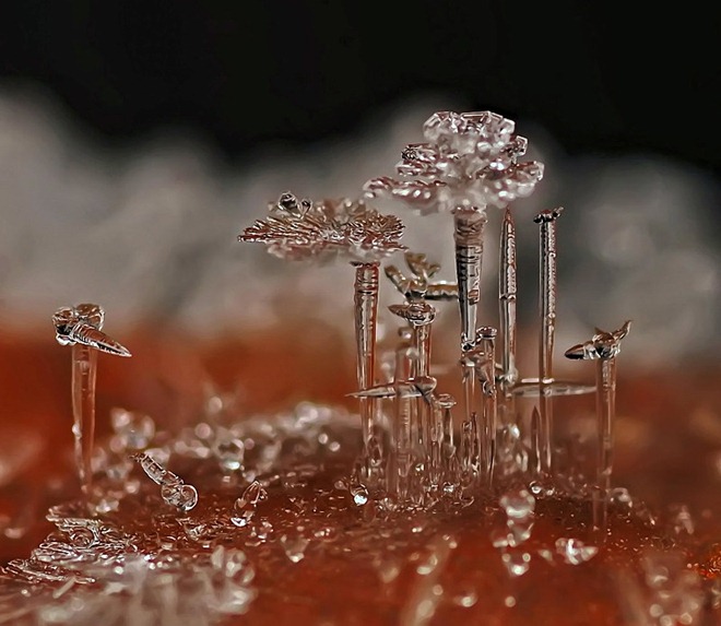 20110819_85b55864f159af0aefdd2RUuIP1zyKaz.jpg