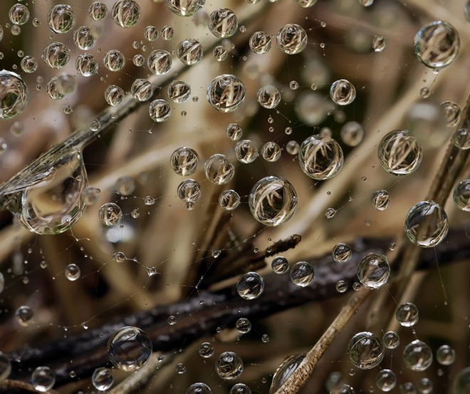 20110819_683dd82f4069c107ea5fIZXPCUPH4vQZ.jpg