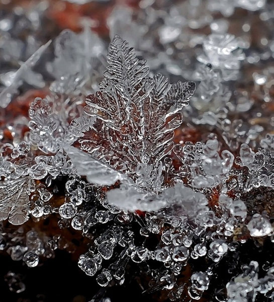 20110819_701fd9821f59af6315b5fTfmDfjzjR23.jpg