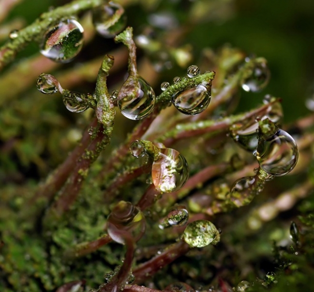 20110819_995c1f3cc9d336a560a6zUHCtIPLGov2.jpg