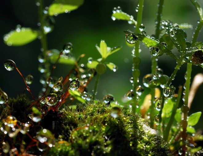 20110819_4269f9038fee91382bb4wwvfugyv4yGV.jpg
