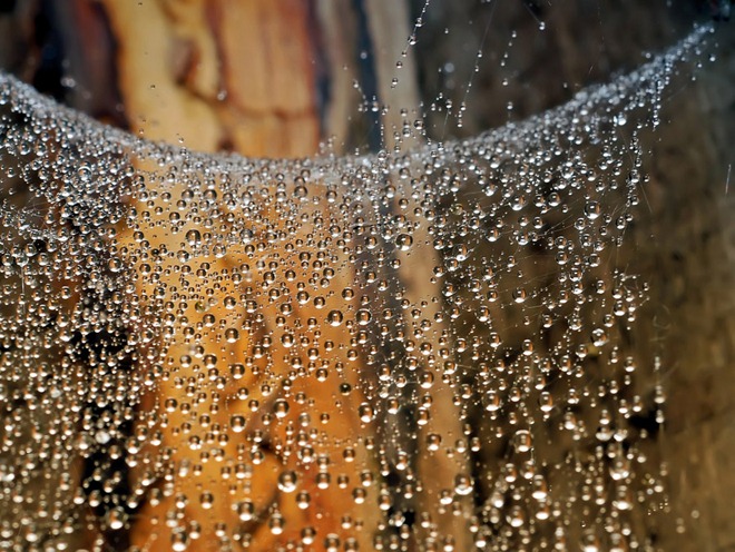 20110819_4034f5888731bffd5163gnGSIayHKDG9.jpg