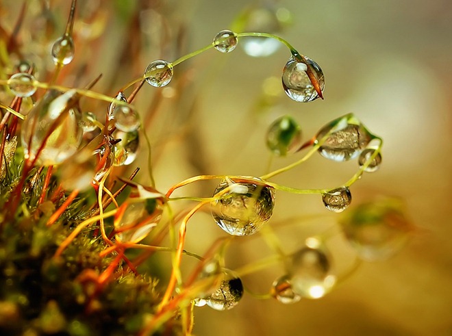 20110819_4414c15dffb79f3693f4UHgV0ZX2rEUg.jpg