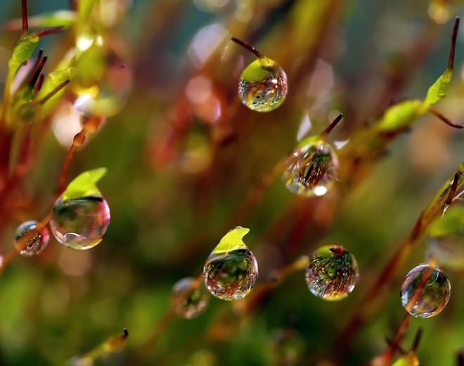 20110819_8909b3997a22f1600624xbwNWU9Ik0VL.jpg