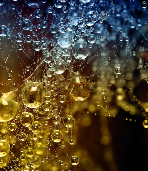 20110819_5780d13db42a2a6459761HF3JdGomxNz.jpg