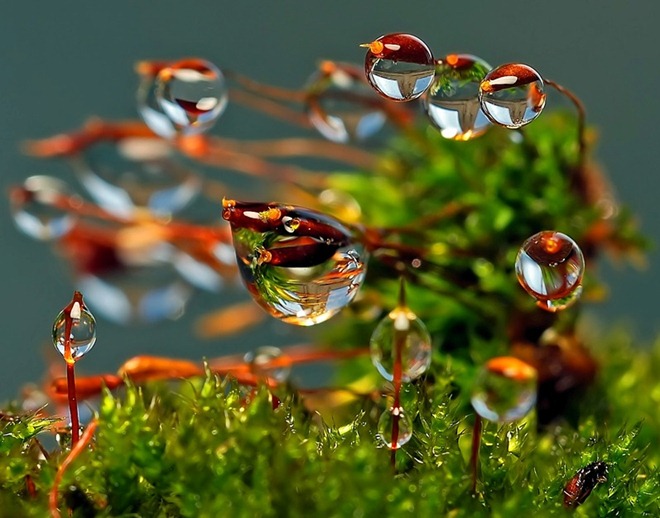 20110819_30546d5fb27ec4129681opWgZtYHm0LX.jpg