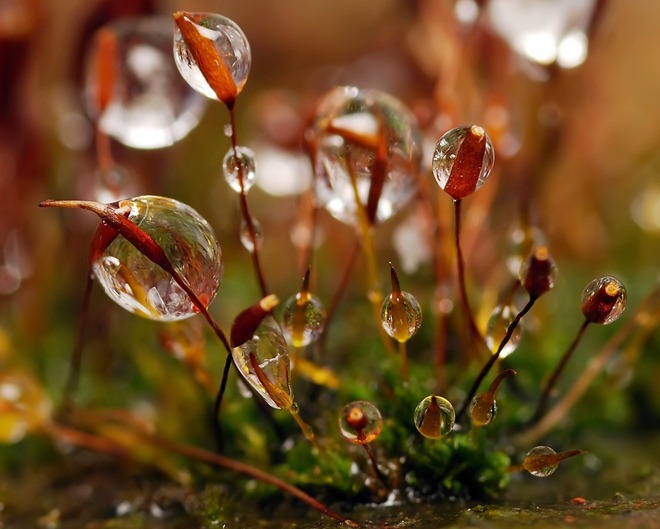 20110819_91161215271a700c53afV71XLXMYfkhN.jpg