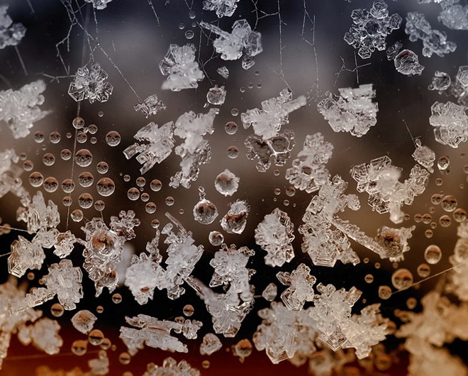 20110819_b561fe76ffee06e63253jxw8M8GVzdHn.jpg