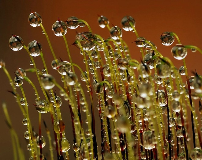 20110819_c1d5b917b37e10c0f311uvLG2drZt1Br.jpg